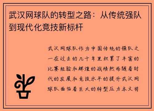 武汉网球队的转型之路：从传统强队到现代化竞技新标杆